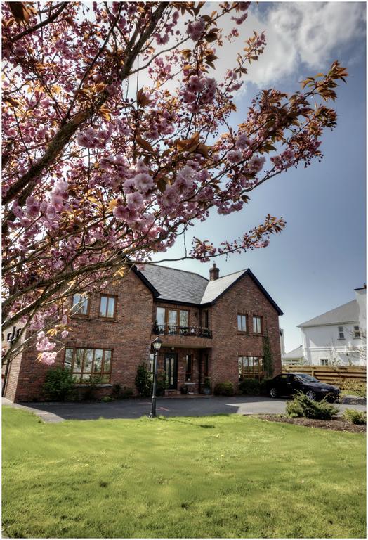 Oranhill Lodge Guesthouse Oranmore Exterior foto